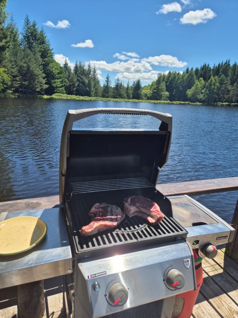 Le domaine de Guillerin