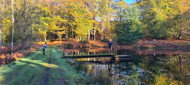 Le domaine de Guillerin